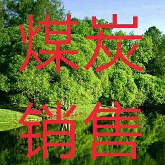 老郑(煤炭销售)