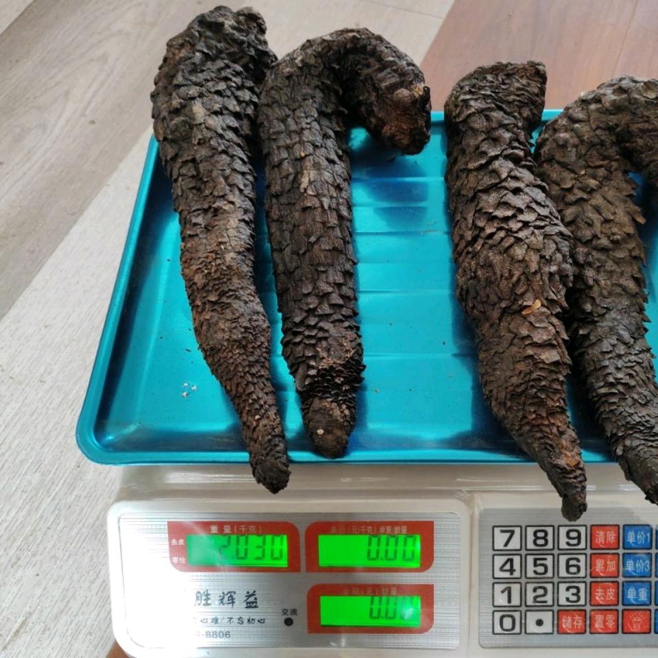 纤凝百货网店