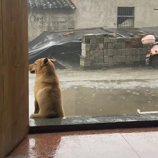 洞明