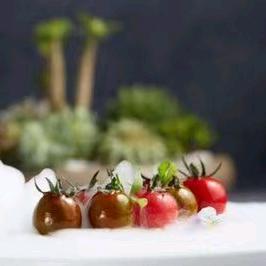 若人生只如初见