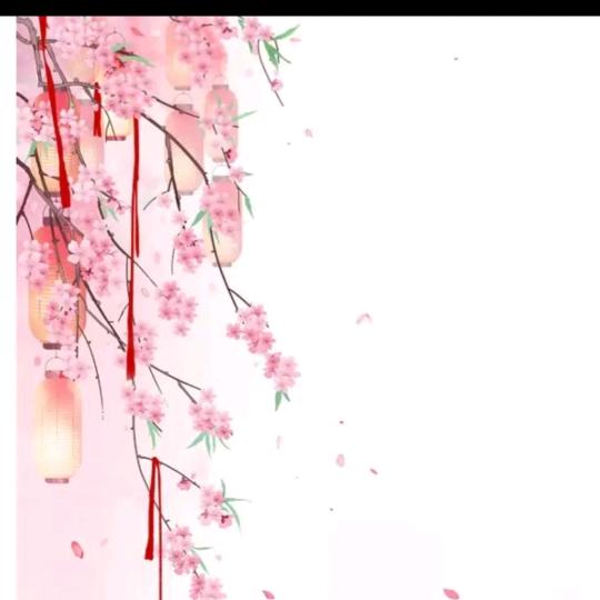 小诺诺