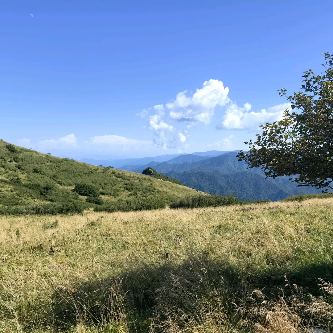 一抹阳光