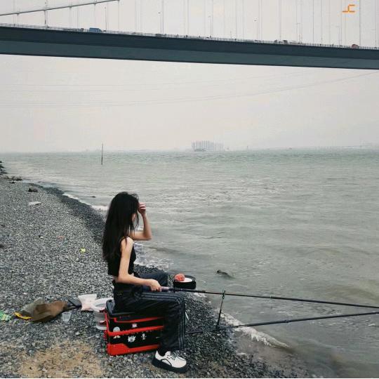 海棠花