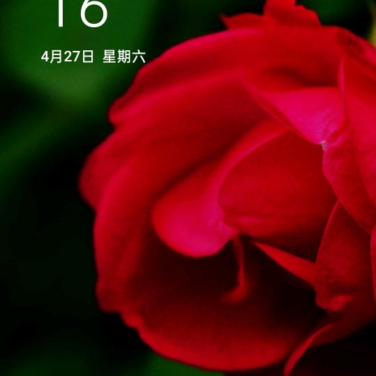 豪豪爷