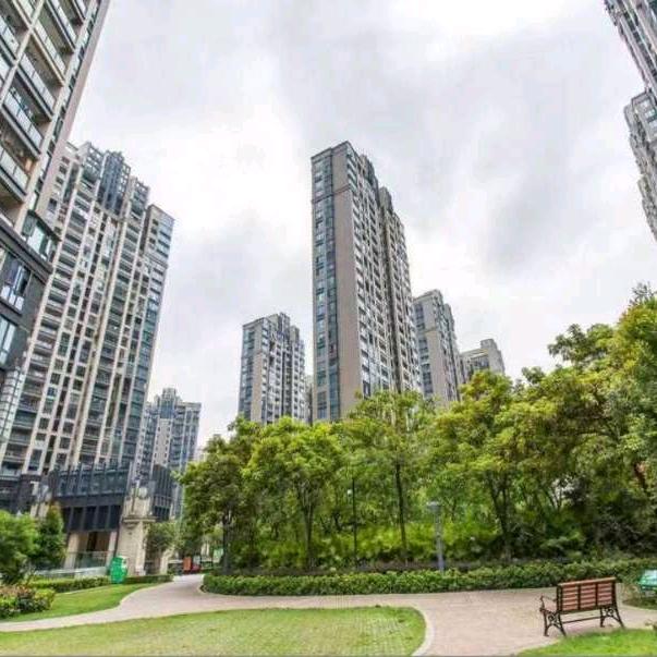 建哥深圳说家