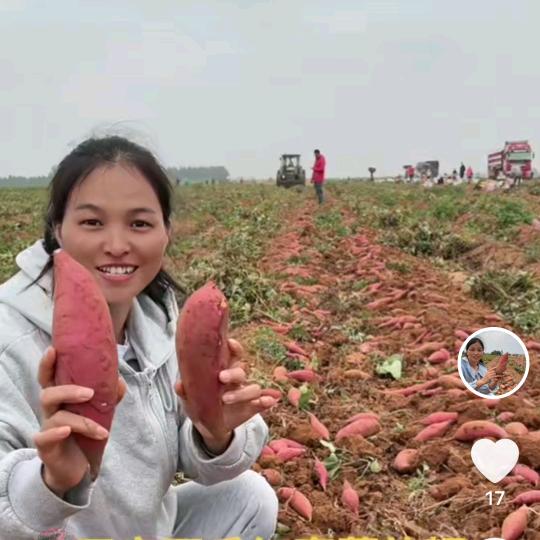 贺鲜生
