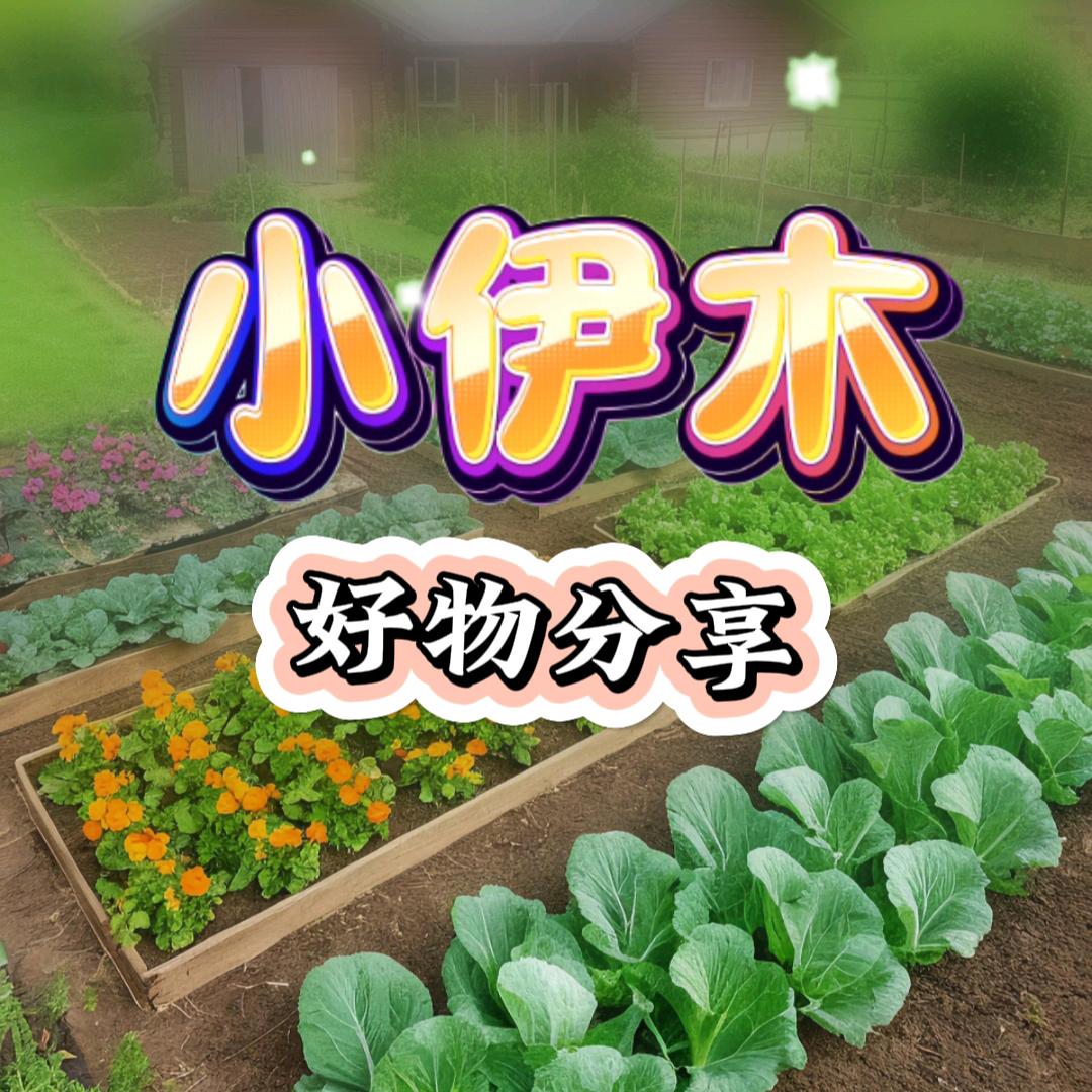 小伊木（好物分享）