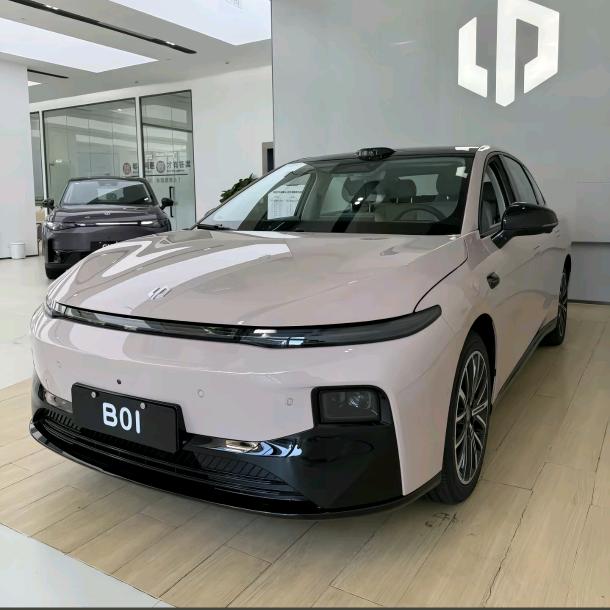 零跑b01专属小鱼