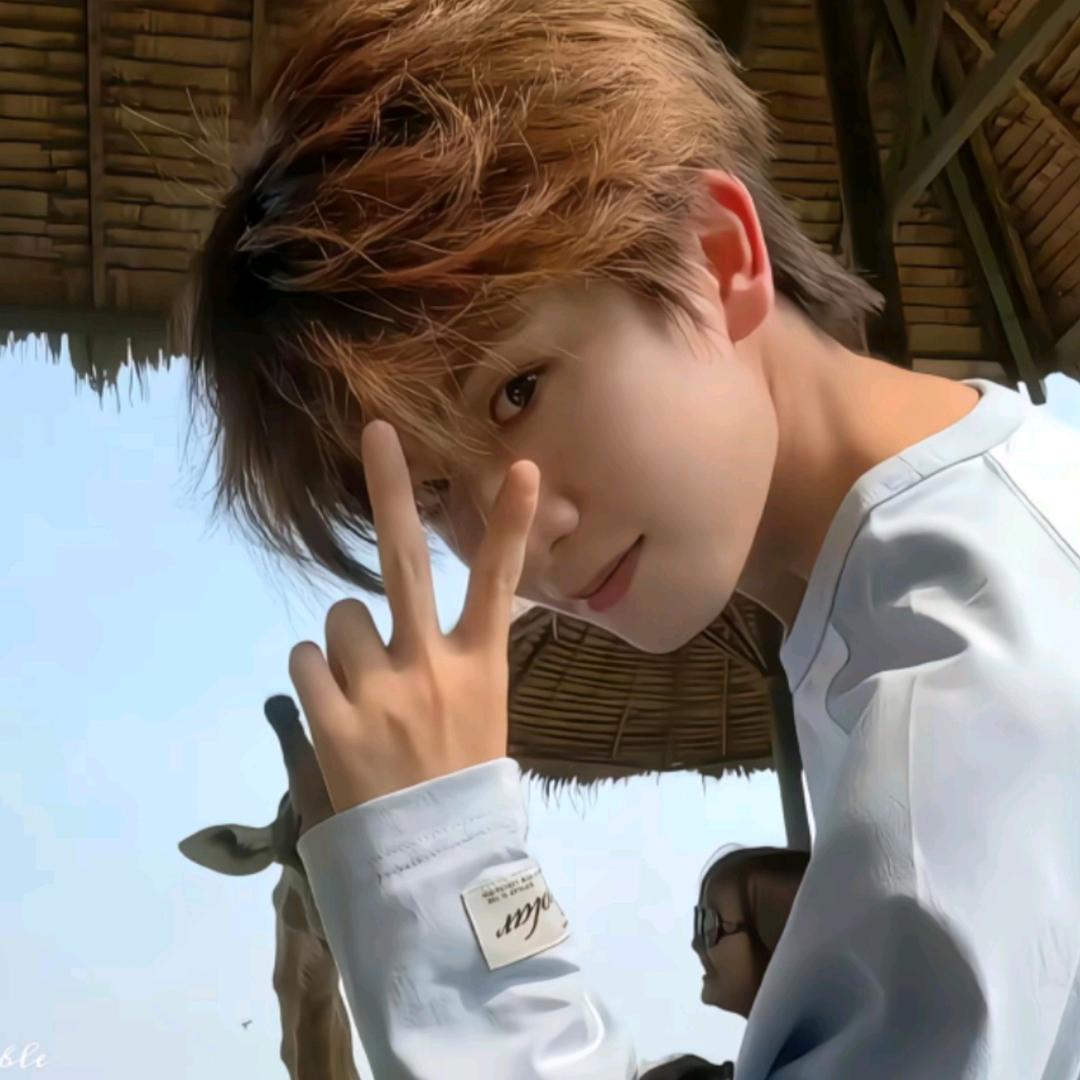 晚晚星河。❤️