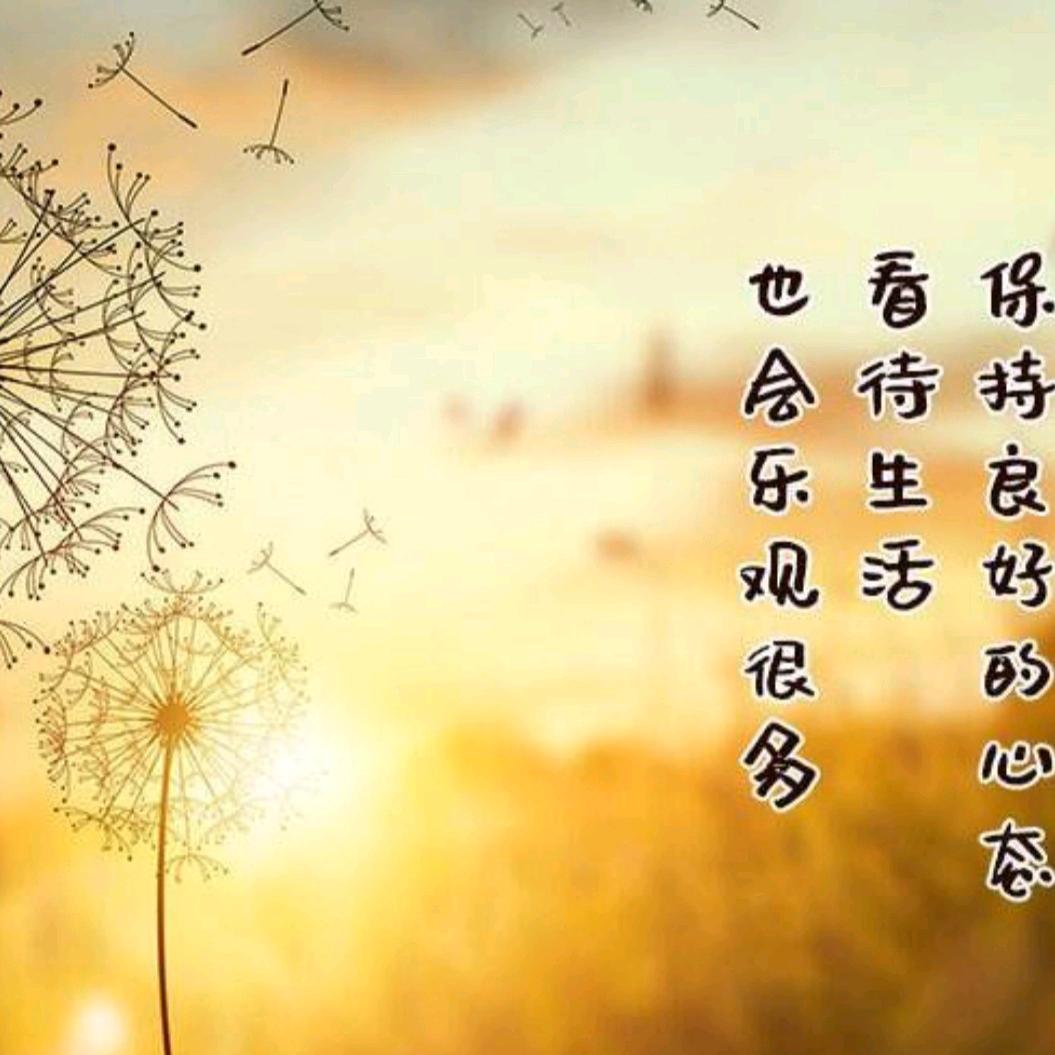情深缘浅