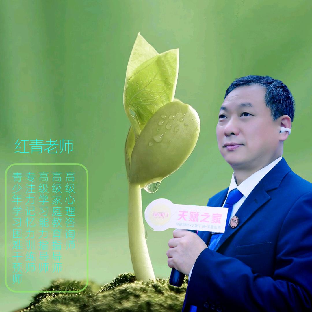 红青-爱动力家庭教育