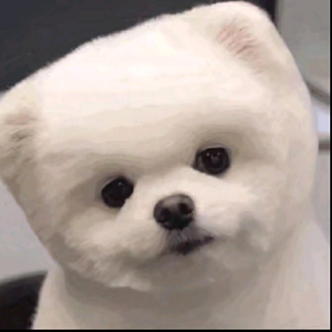 小嗨罗