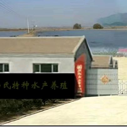 特种水产养殖农场