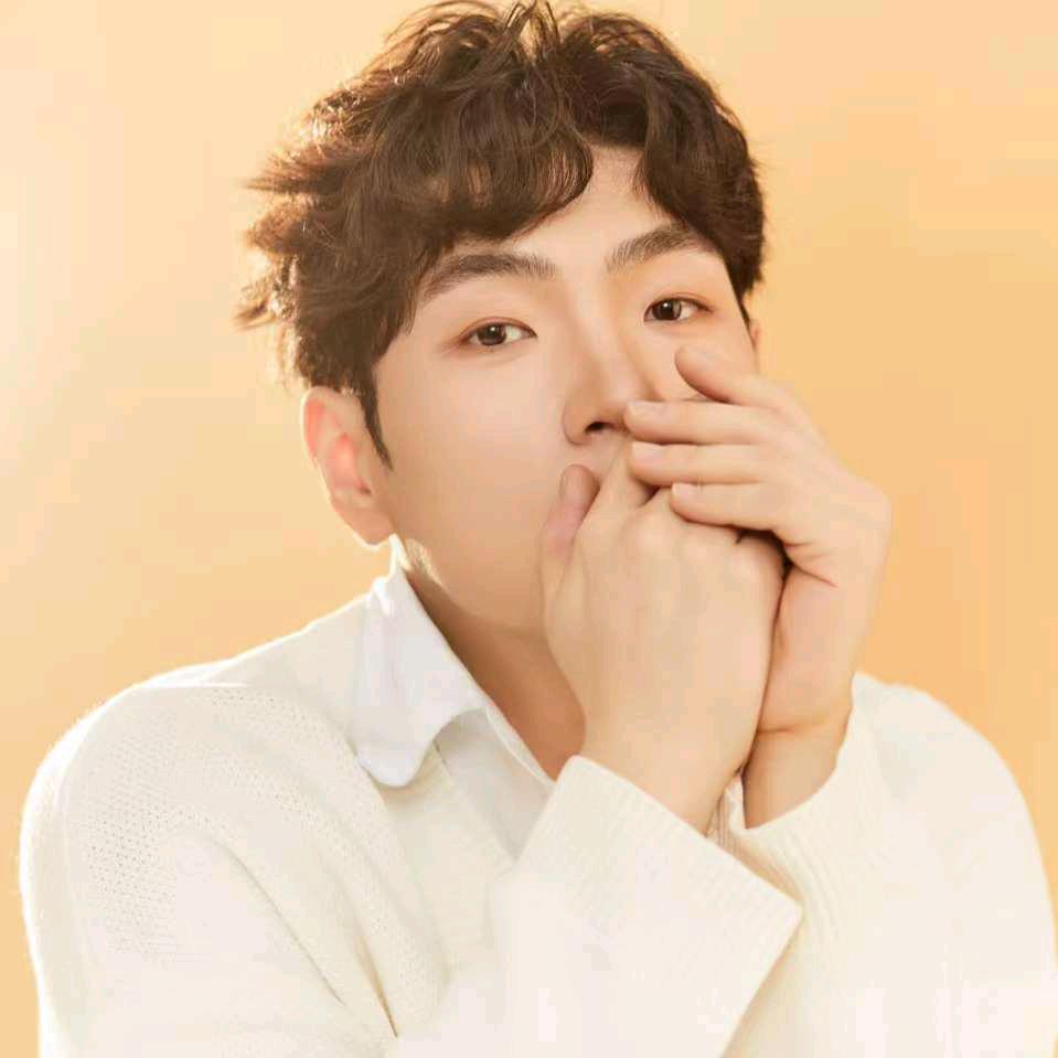 西安小针美宠粉智