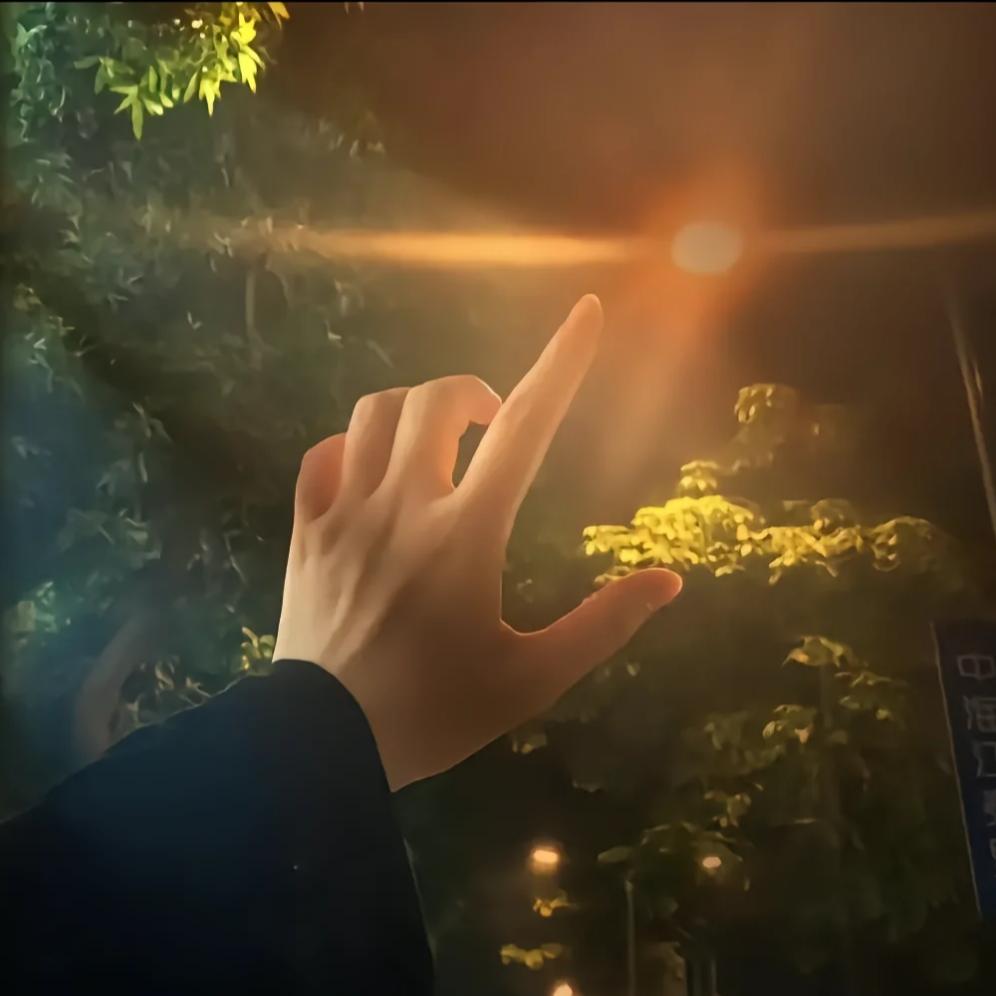 鹤川