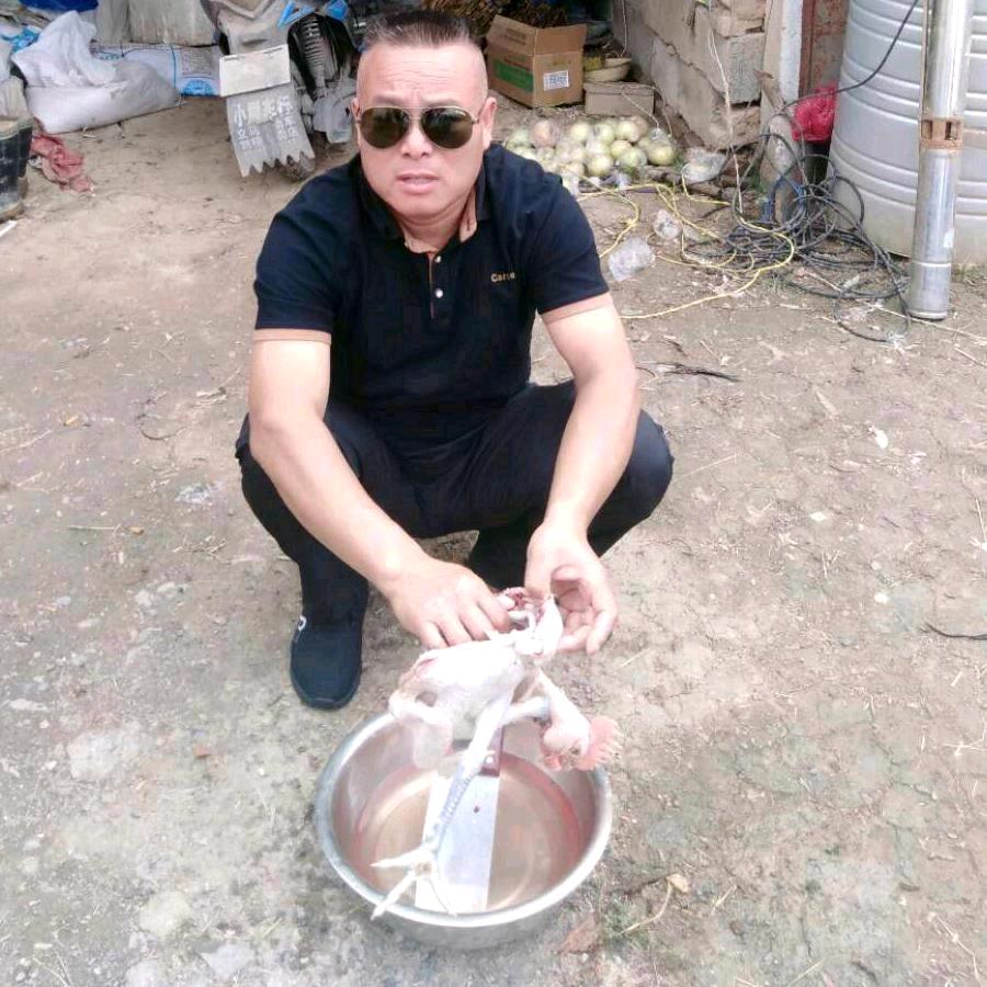 张哥帅