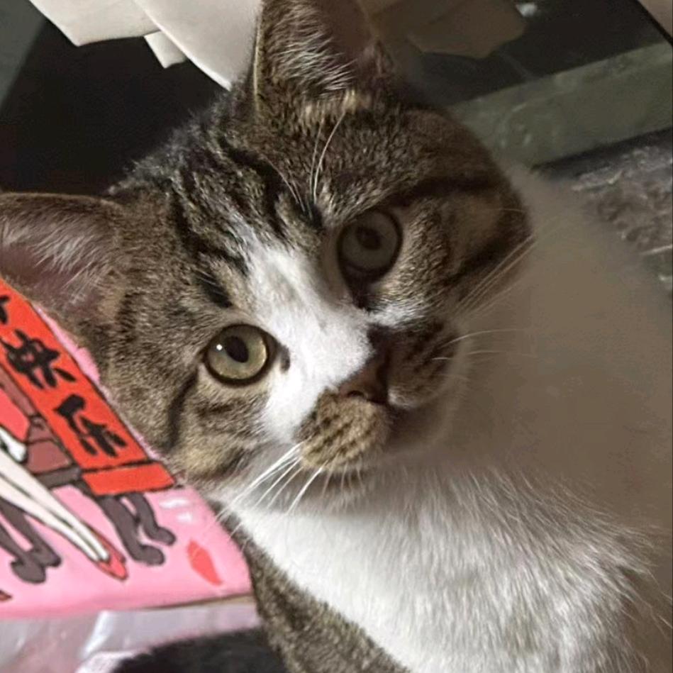 含泪