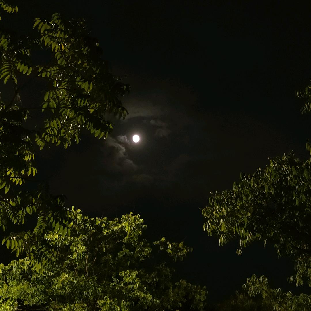 下弦月