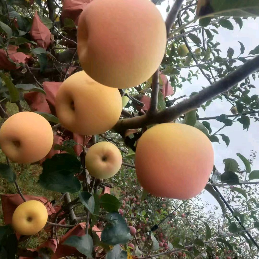 钥钥姐
