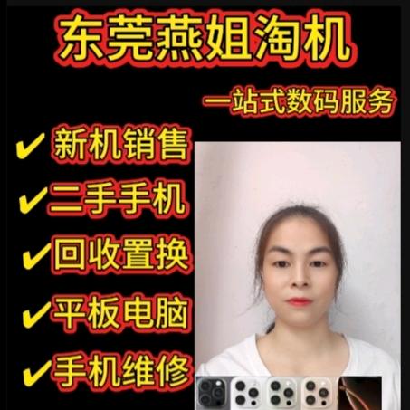 极修匠总部-燕子