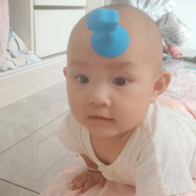 快乐的小麋鹿