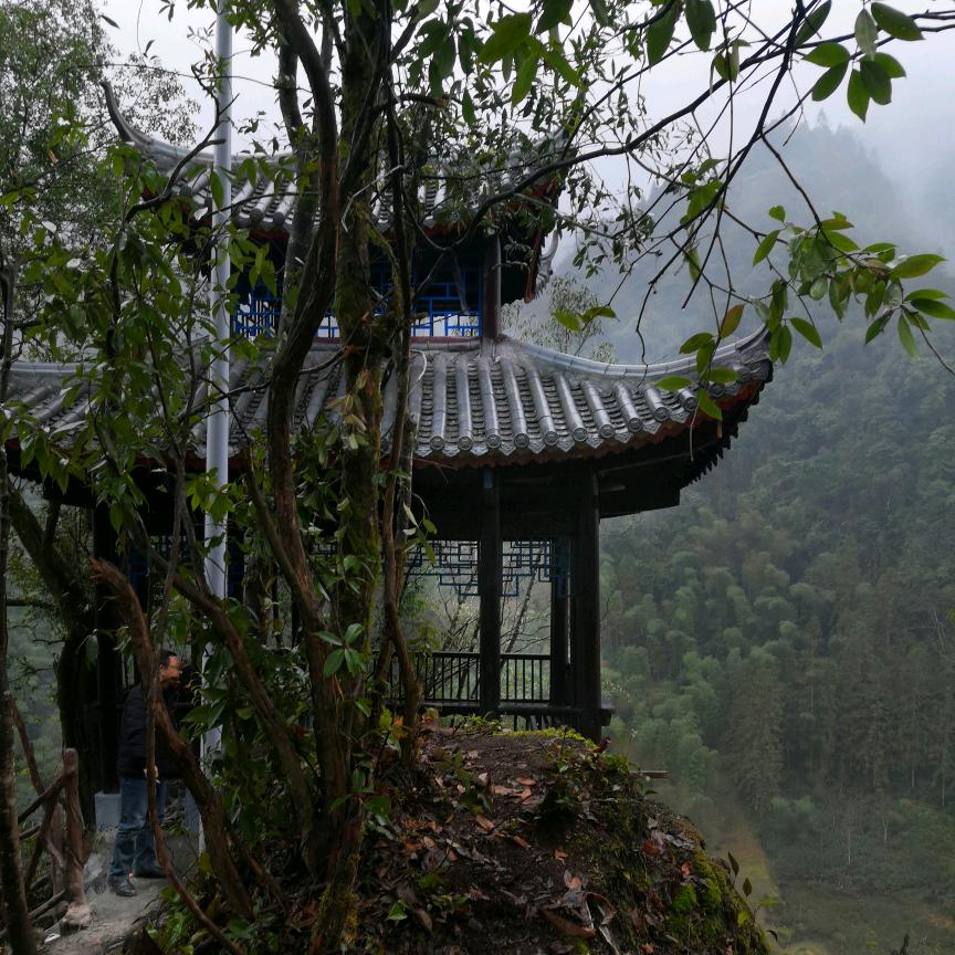 阿宝年代     ㊝