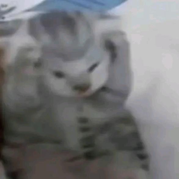 熬夜偷盗地沟油