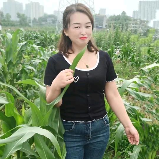 达州大竹燕子
