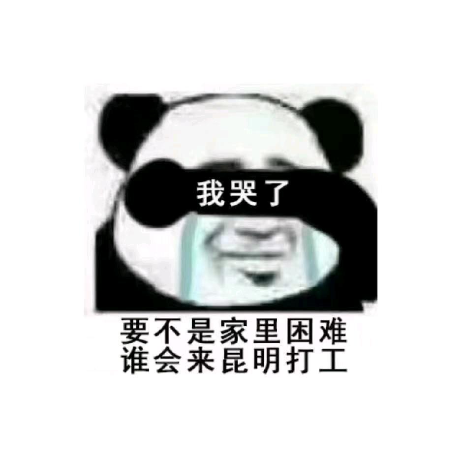 狗狗