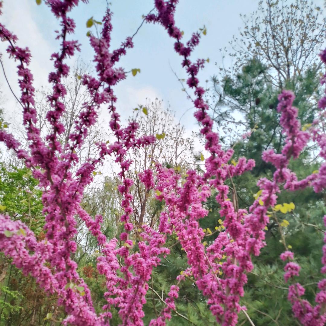 🦋ꦿ໊余生᭄🕊随心᭄ꦿᩚ٭