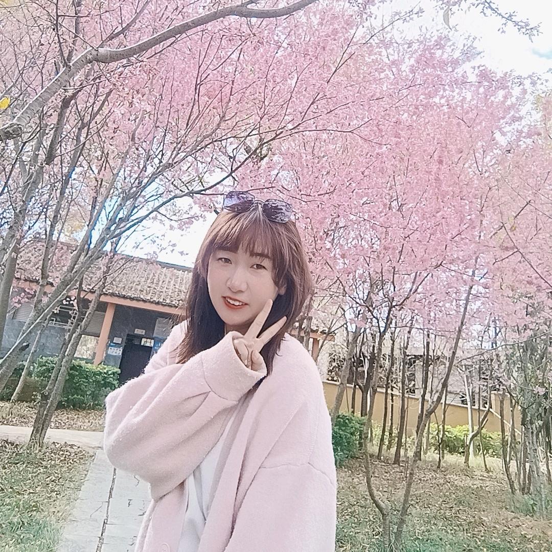 芳芳的车子