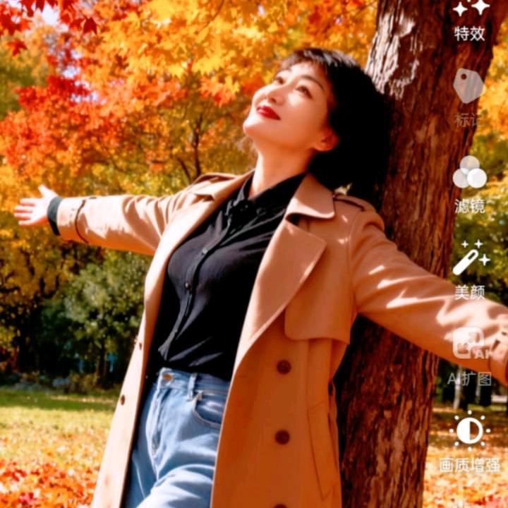 枫叶🍁🍁🍁