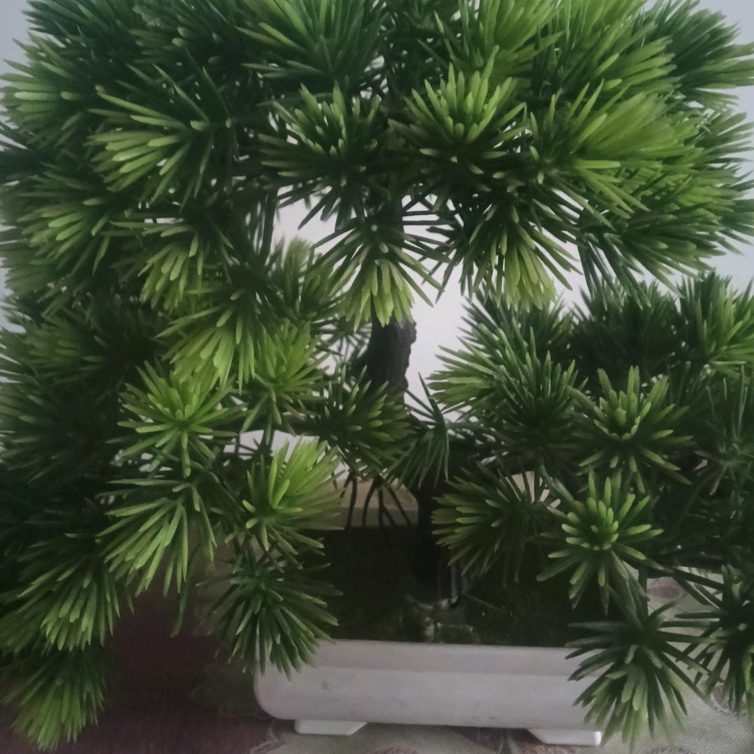怀念故乡