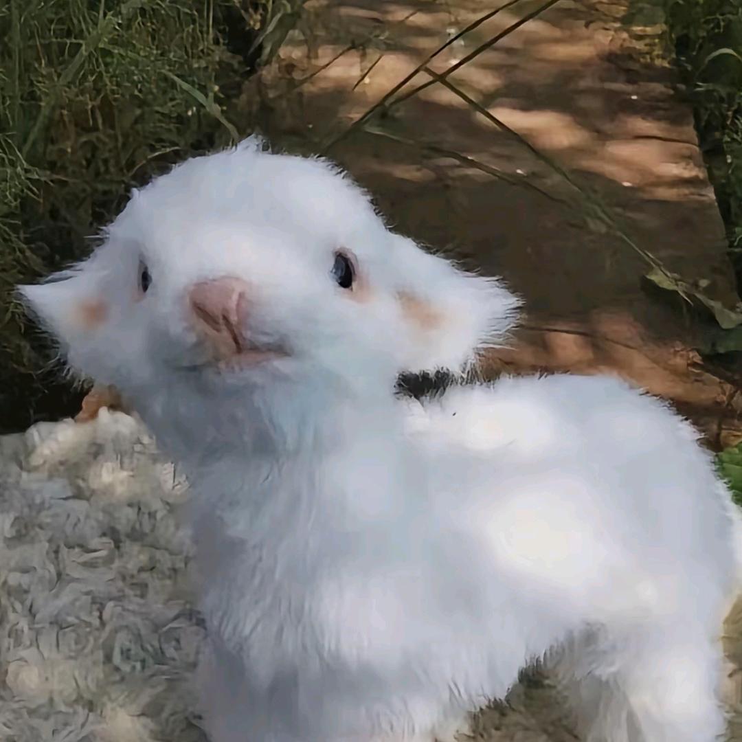 𝙃𝙪𝙞𝙞ᵒᵏ
