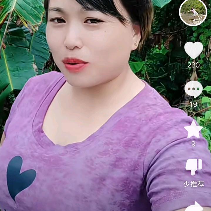2025乙巳蛇年