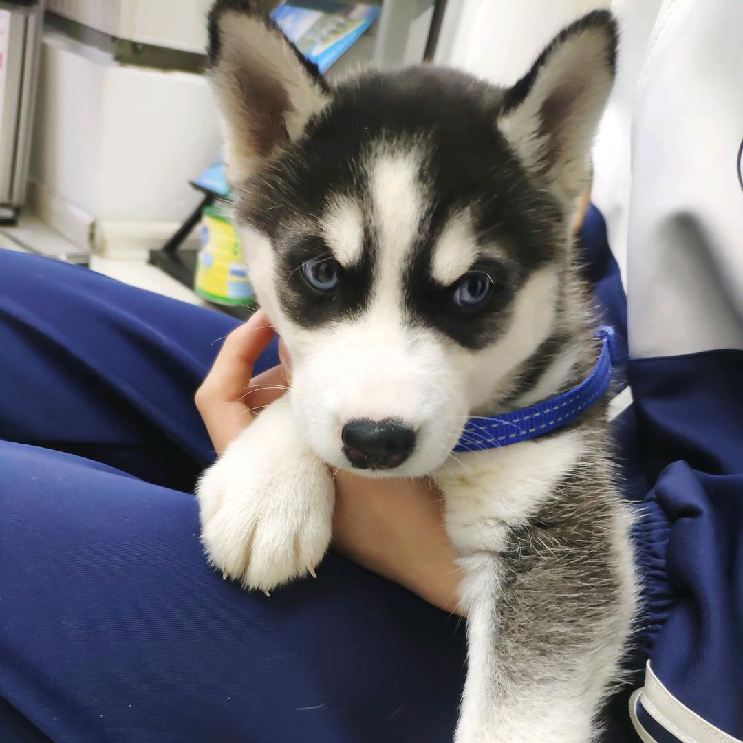 MC控哥              ｀