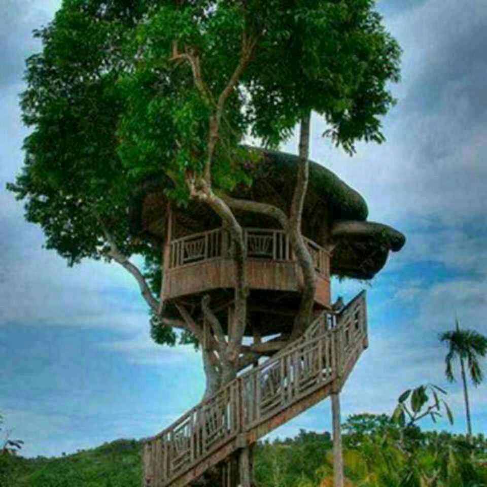 🌈骑着蜗牛去旅游，我只看不刷