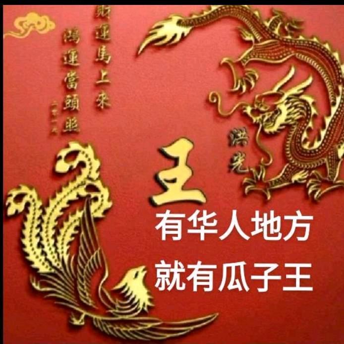 瓜子王