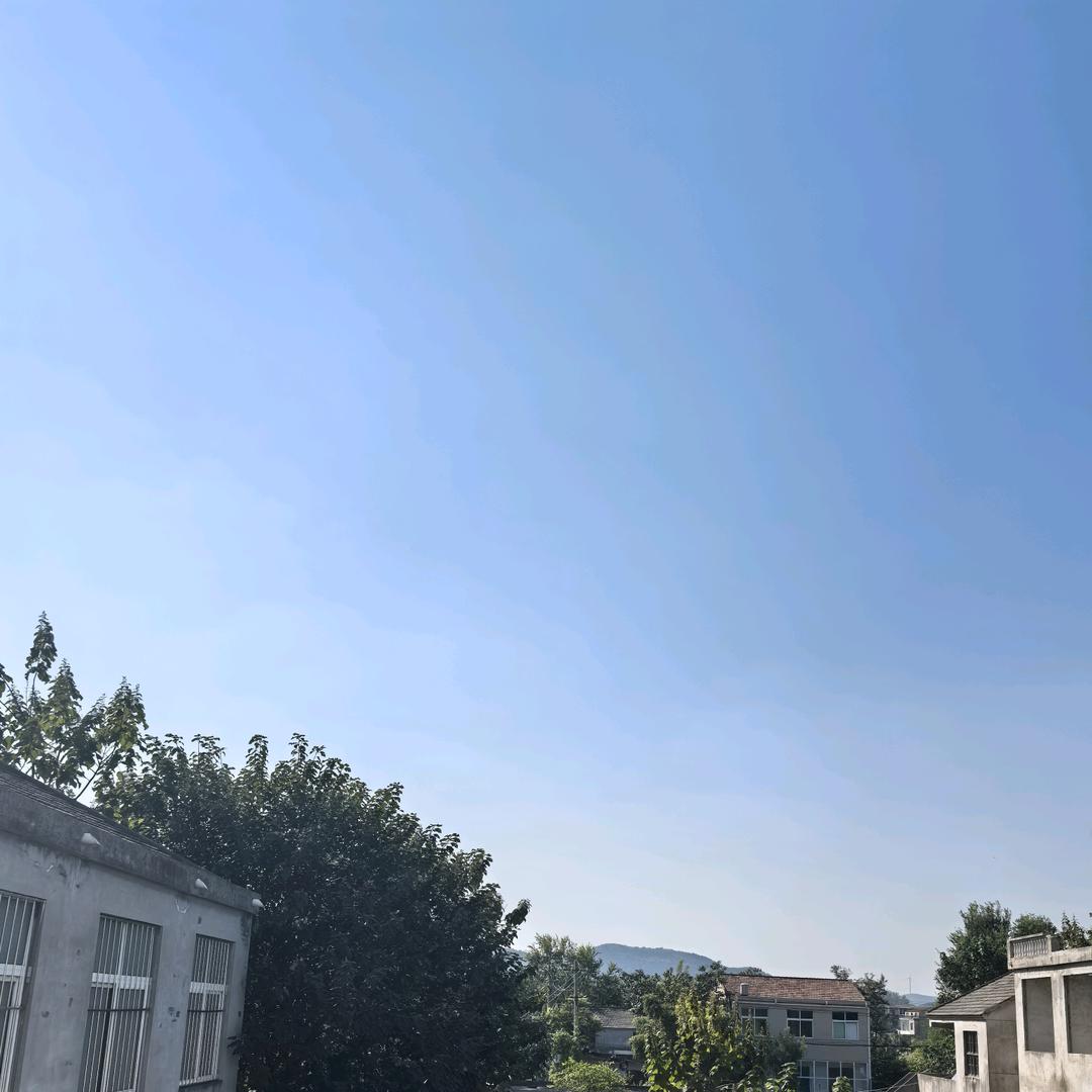 左右