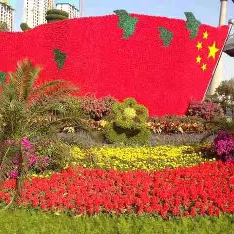 悦哥影视剧