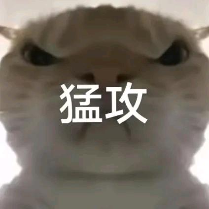 vc俱乐部