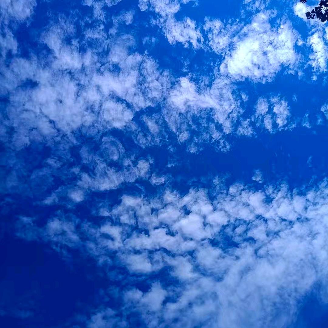 小辣椒《谢绝连赞》