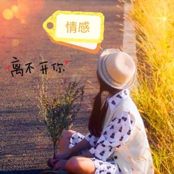 汤圆波哥