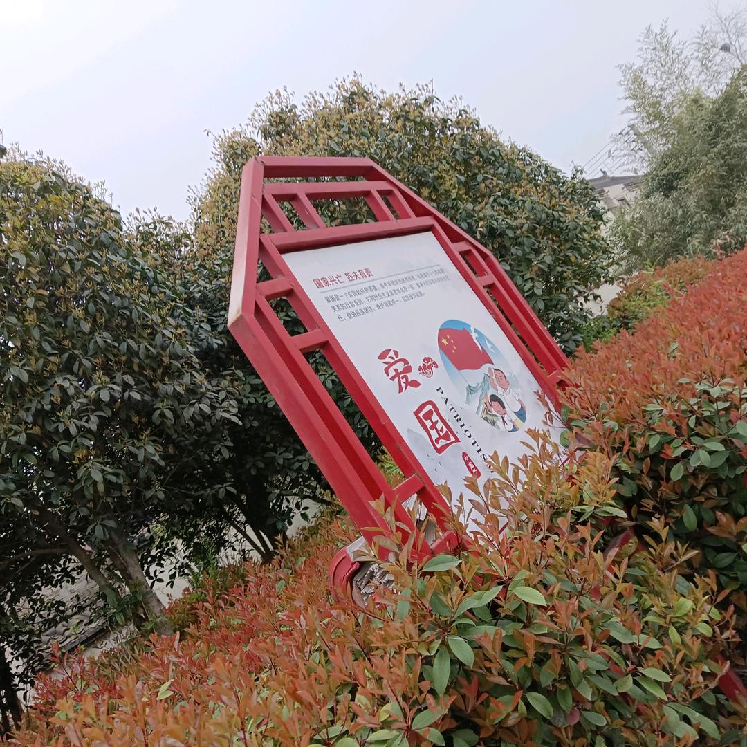 白百荷