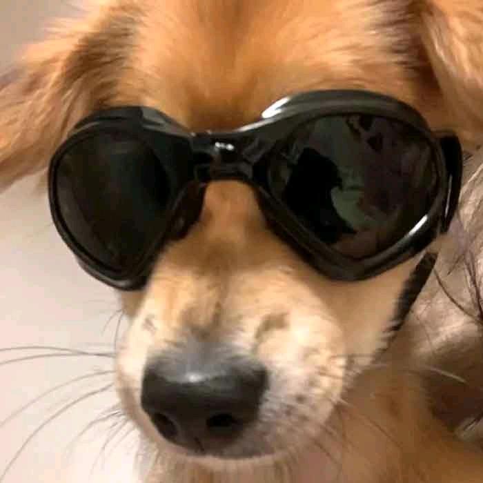 搞杯可乐喝喝⑧