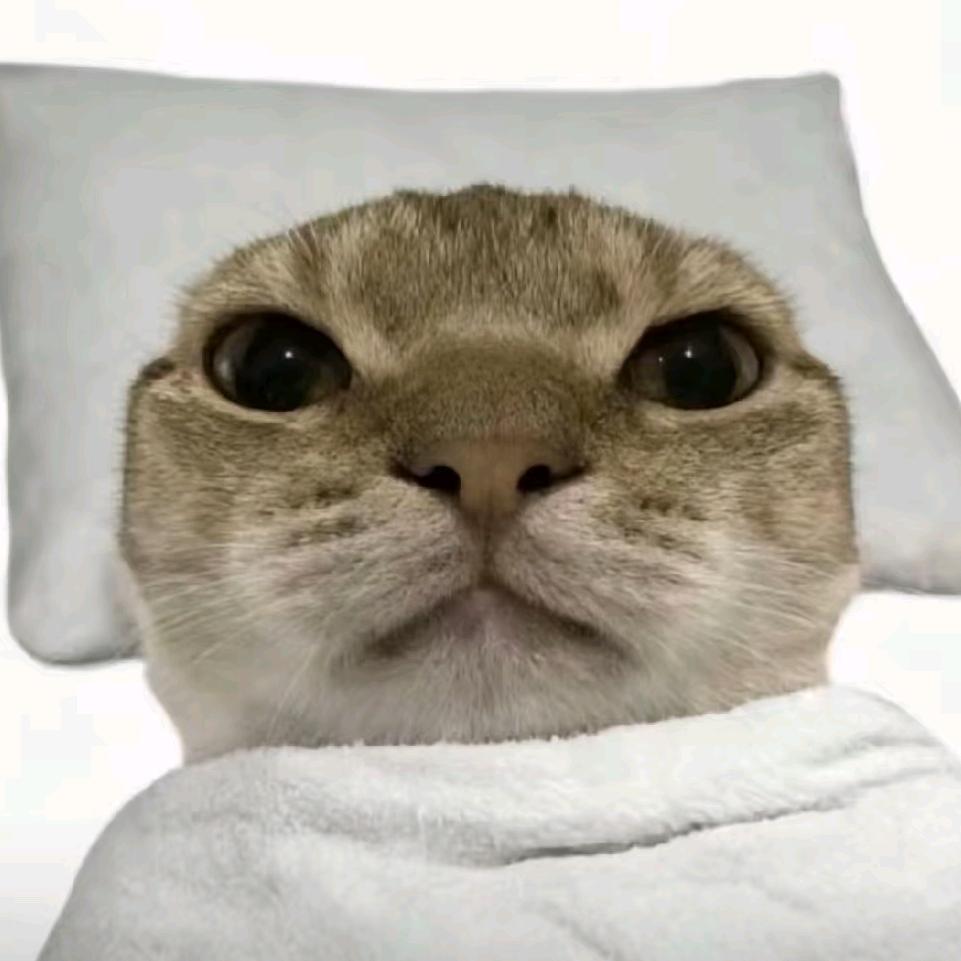 菜卡蒂  (暗区突围)