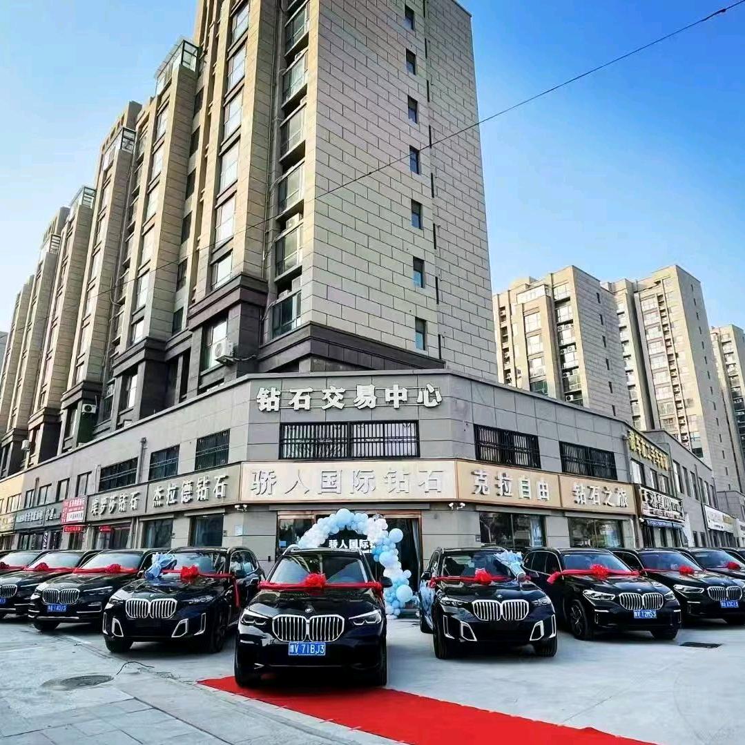 世界蓝钻石品牌