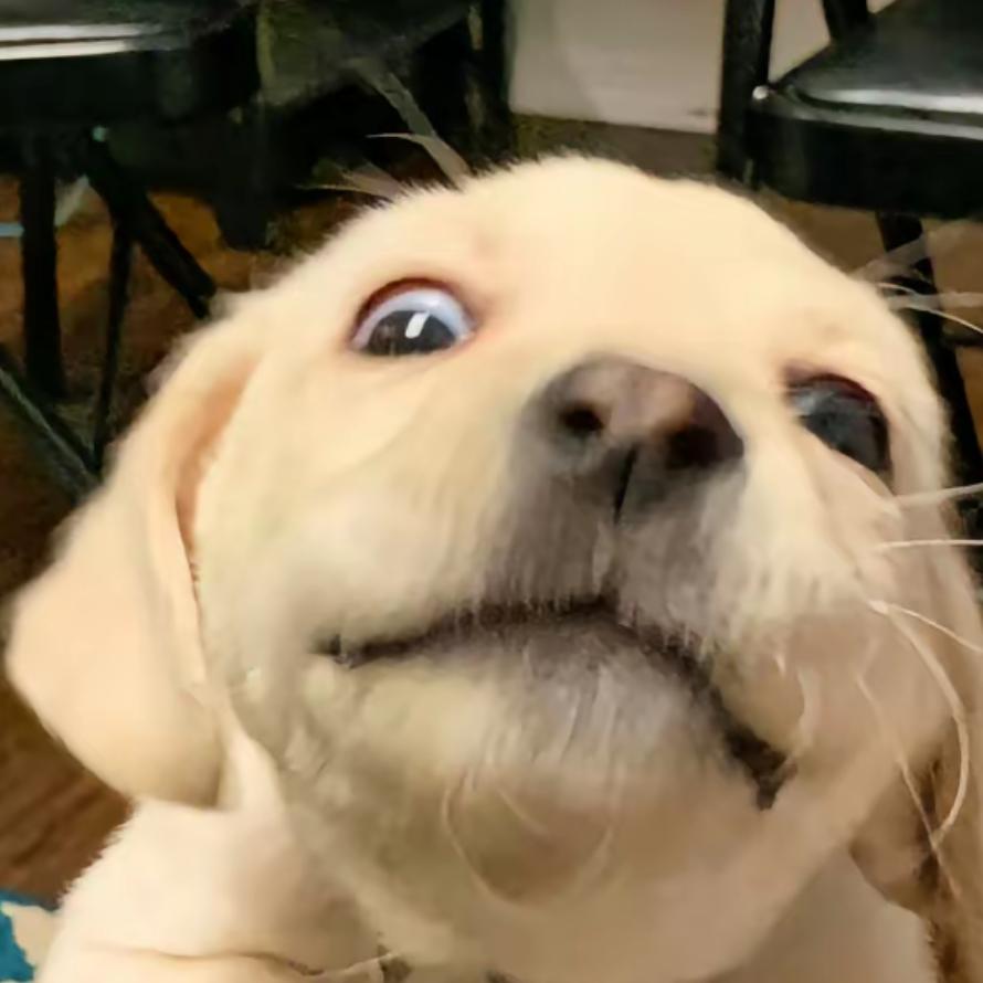 开开心心🥰