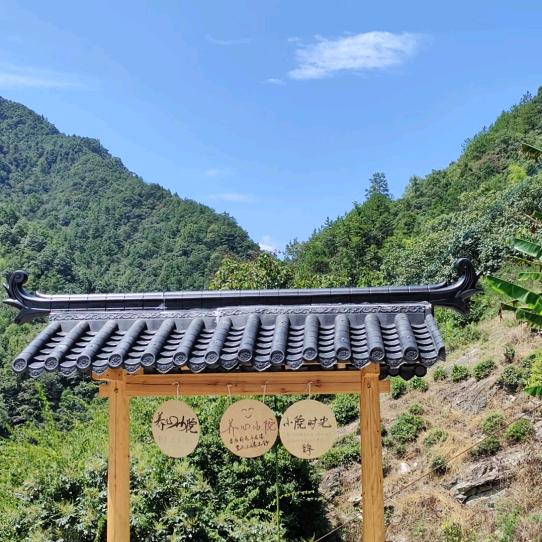 养心 小院