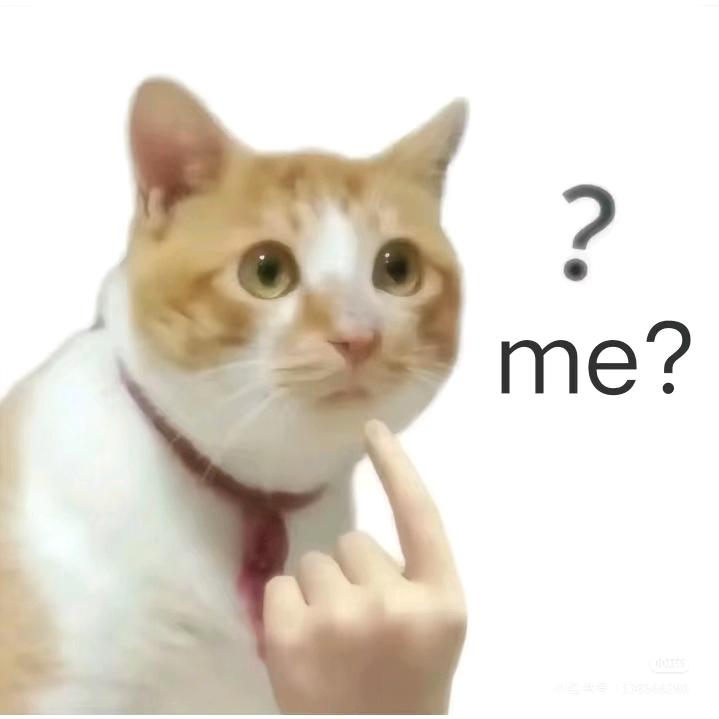 大唐在逃打工狐